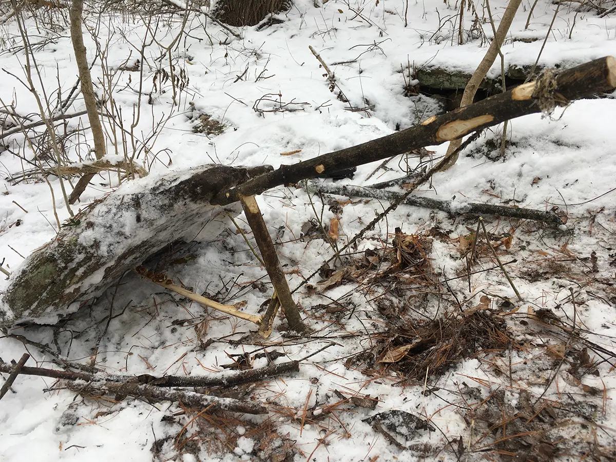 Deadfall Trap 101: Types, Applications, and More