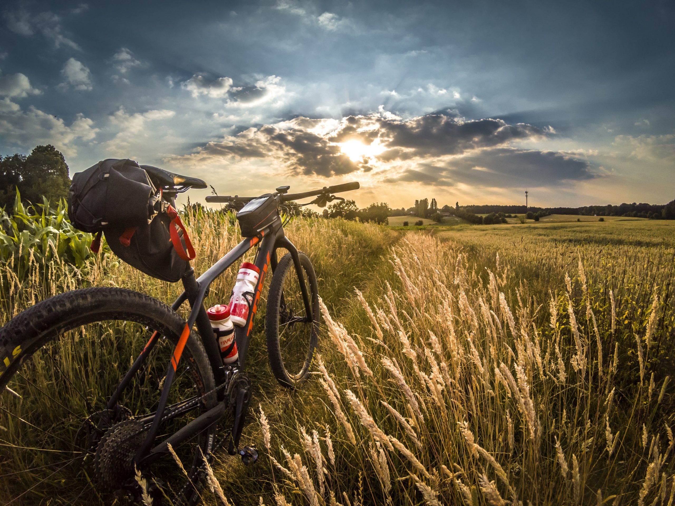 Your Ideal Survival Kit Checklist For Mountain Bike Rides