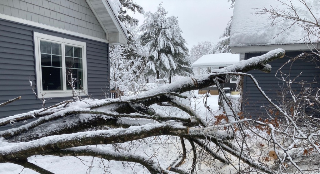 Lessons Learned From a Winter Storm. Some power outages.