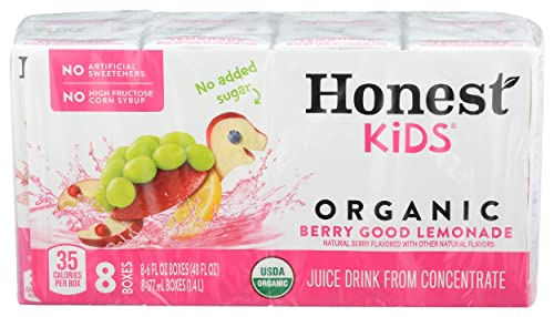 Honest Kids Berry Good Lemonade, 6 Fl oz (Pack Of 8)