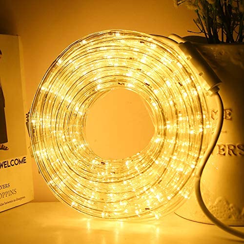 DINGFU 33ft LED Rope Lights,110V 2 Wire Connectable Christmas Rope Lights Outdoor,240 LED Waterproof Indoor Outdoor Warm Rope Lights for Deck, Patio, Pool, Camping, Landscape Lighting (Warm White)