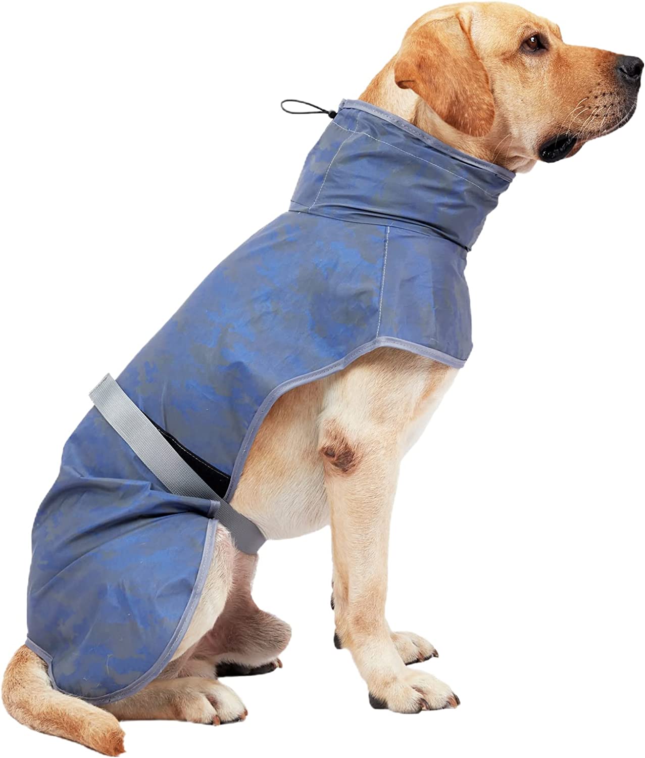 hionre Adjustable Pet Raincoat with Reflective Strip Dog Rain Jacket Lightweight Breathable Dog Rain Poncho Easy to Wear Suitable for Small Medium Dogs Blue 3XL