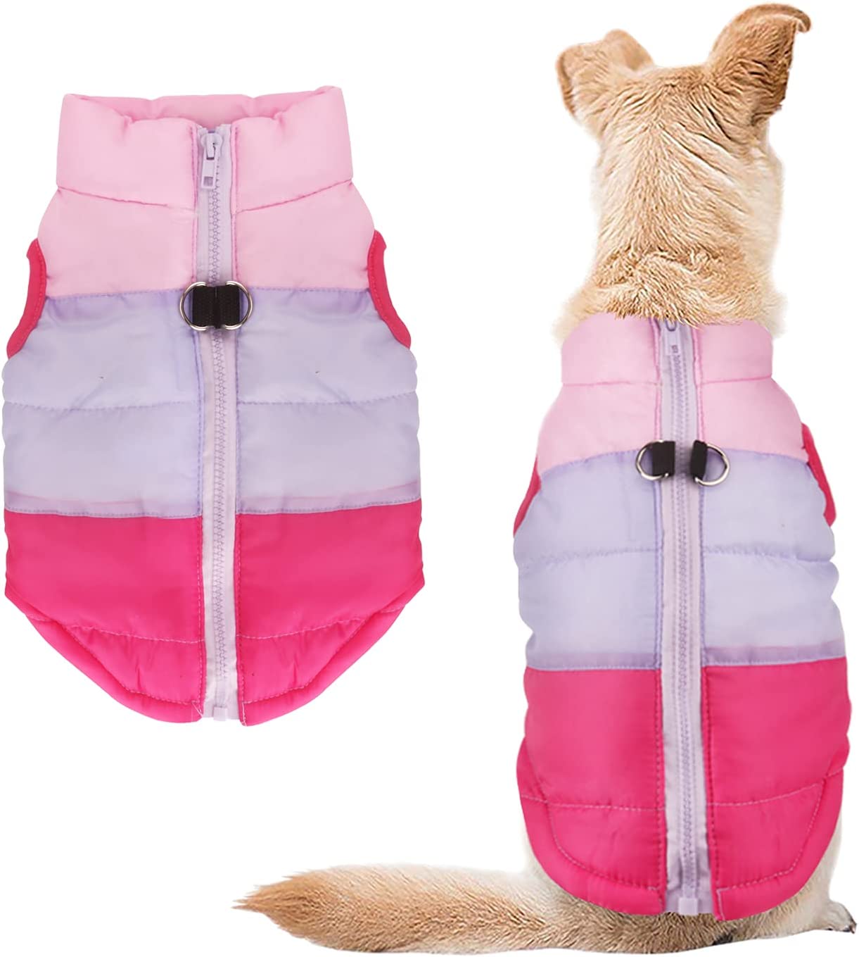 Idepet Pet Dog Cat Coat with Leash Anchor Color Patchwork Padded Puppy Teddy Chihuahua Jacket Vest Costumes Pug Clothes (XS,Rose Red)