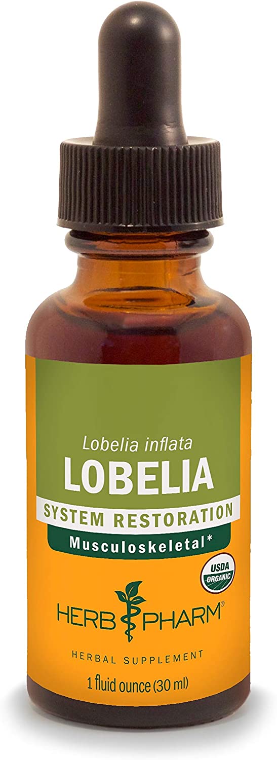 Herb Pharm Certified Organic Lobelia Liquid Extract for Musculoskeletal System Support – 1 Ounce (DLOBEL01)