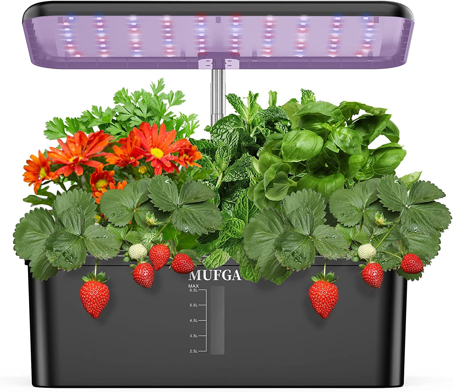 MUFGA 12 Pods Hydroponics Growing System, Indoor Garden with LED Grow Light, Plants Germination Kit, Mini Herb Garden with Pump System, Height Adjustable (No Seed), Ideal Gardening Gifts for Women