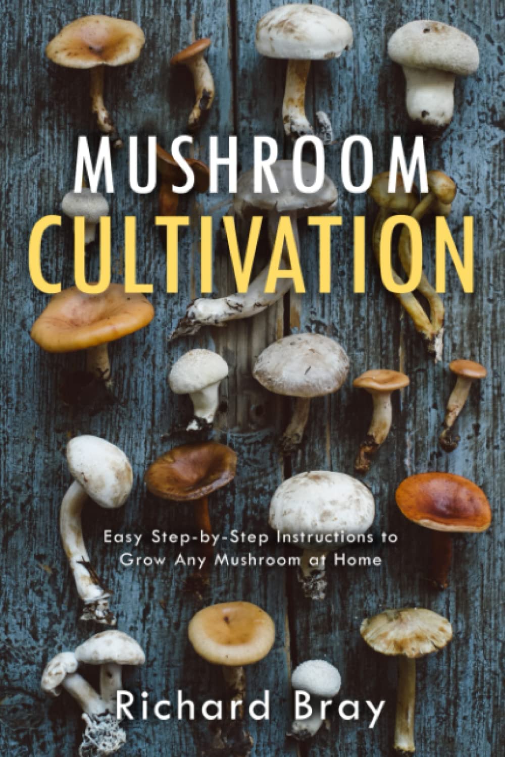 Mushroom Cultivation: 12 Ways to Become the MacGyver of Mushrooms (Urban Homesteading)