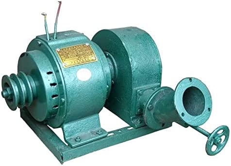 600W Hydroelectric Generator AC 220V 50HZ 500-1500RPM Horizontal Generator Copper Wire for Household Horizontal Water Wheel Type Flow 0.0079-0.012 M³/s