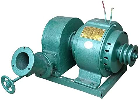 Hydroelectric Horizontal Generator 600W, Copper Wire Hydro Water Turbine Generator for Household Outdoor Use (AC220V 50HZ 500-1500RPM)
